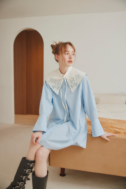 Embroidery Dress