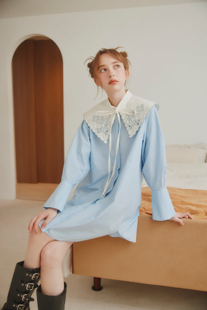 Embroidery Dress